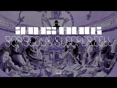 Shabazz Palaces - Gorgeous Sleeper Cell