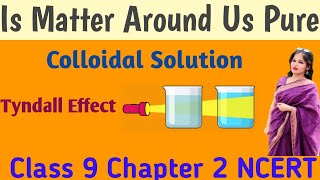Colloidal Solution & Examples || Is Matter Around Us Pure || Class 9 Science NCERT || CHAPTER- 2