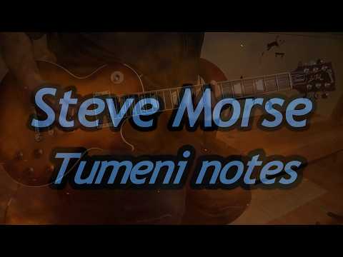 Steve Morse -  Tumeni notes   Guitar cover  by Chiitora