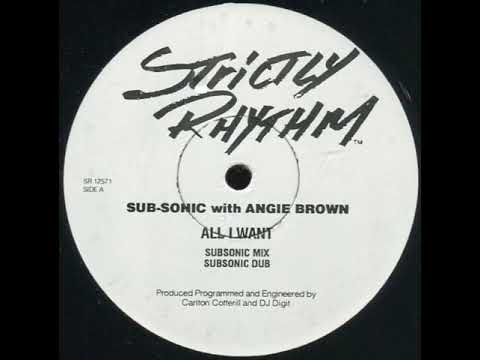 Sub Sonic With Angie Brown ‎– All I Want (Damian St  Mix)