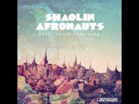 The Shaolin Afronauts - Amhara
