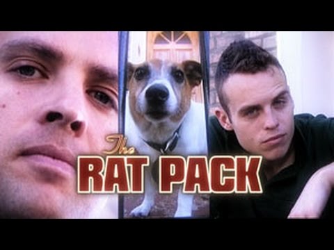 DISGUSTING BEDBUG INFESTATION! London is badly infested with them