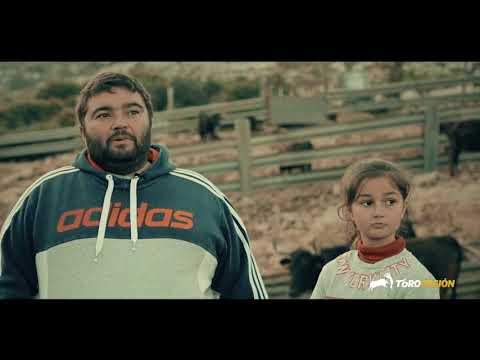 Pistolera de Hnos. Asensi en La Vaca del Millón - Fallas 2019