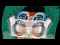 Klasky Csupo In Field Day Major In Divided Effect