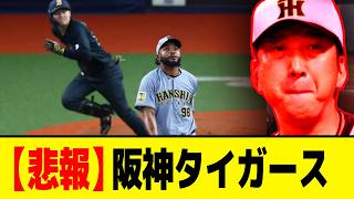 【悲報】阪神ファン「遥人しか勝たん･･･」