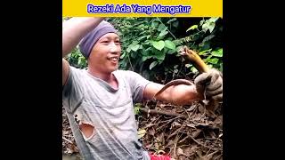 Download lagu Rezeki Nomplok Mancing Belut Di Sungai Dapat Babon Super#shorts mp3 Download lagu Rezeki Nomplok Mancing Belut Di Sungai Dapat Babon Super#shorts mp3