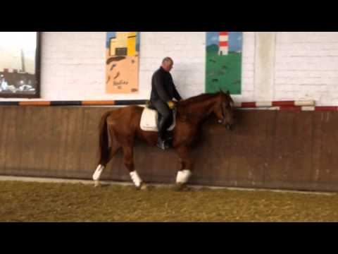 Fiorano - Donnerhall 27.03.2015