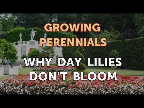 Can I Propagate a Peony From a Cutting