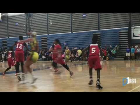 2020 Whitney Sollom (F) Hartland HS