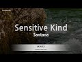 Santana - Sensitive Kind (Melody) (Karaoke Version)