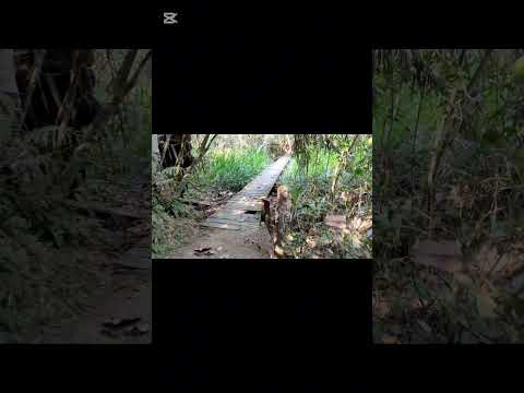 laguna de cube...quinindé ..esmeraldas ecuador