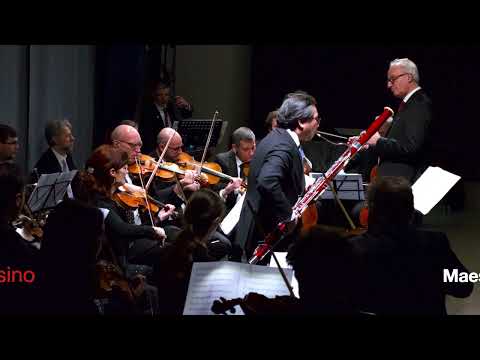 J.N. Hummel - "Grand Concerto in F major" for bassoon and orchestra (Highlight)