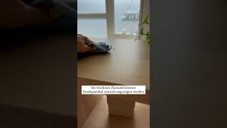 Staub sollte trocken gewischt werden! | Ordnung In 15 Min. Am Tag | Bienchenclub