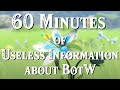 60 Minutes Of Useless Information About BotW