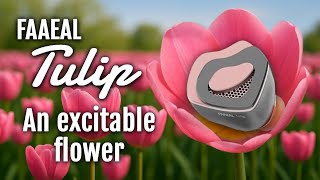 FAAEAL Tulip Review - Amigo Reviews Ep.62