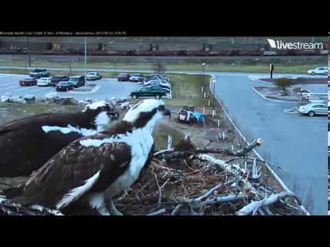 Video2013-05-03_225301 ~  HELLGATE ~ IRIS TALKING TO STAN