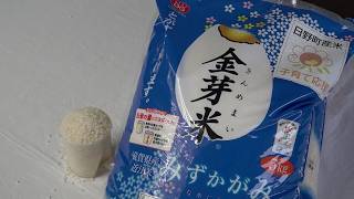 2月27日【びわ湖放送ニュース】妊婦に栄養豊富な「金芽米」10kgを配布へ　日野町・ＪＡグリーン近江・東洋ライスが連携