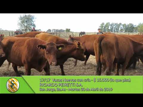30-04-19 - Venta de Vientres - Ricardo Peiretti S.A. - San Jorge