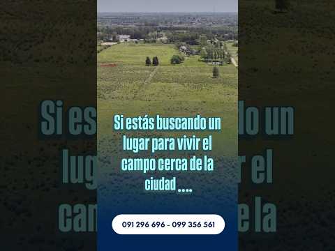 Chacras en Venta en FLORIDA URUGUAY (R5) | Terrenos 5 y 6 Hectáreas | ¡Tu Campo Cerca de la Ciudad!