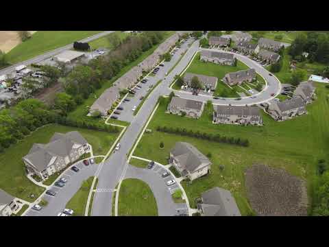 Mount Joy - Video 3 of 3