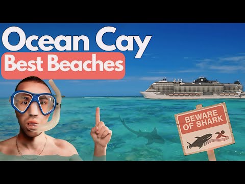 I Explored All 8 Beaches on MSC’s Private Island, Ocean Cay. Best Beach?