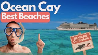 Download lagu I Explored All 8 Beaches on MSC’s Private Island, Ocean Cay. Best Beach? mp3