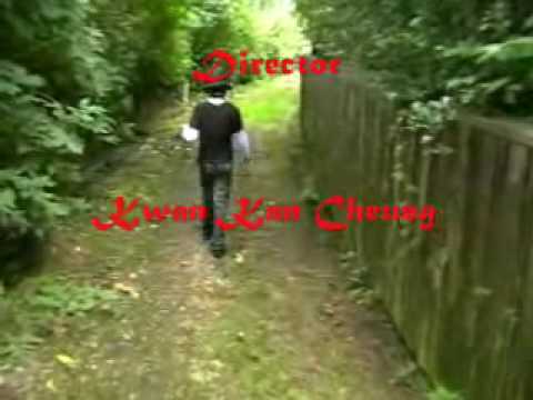 Zee Cee I's :Ninja Vs. Drunken Master - Crystal Guardian