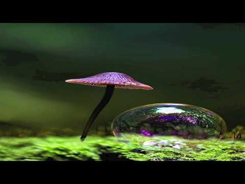 Goa Progressive ---- RosiMon_tag™ - IndianSummer III