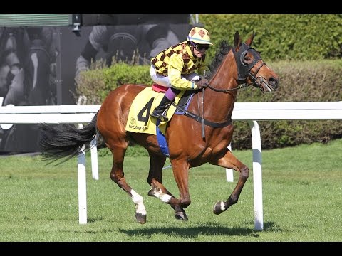 München: Preis des Galoppclub Süddeutschland (D) - Siegerin: Olorda