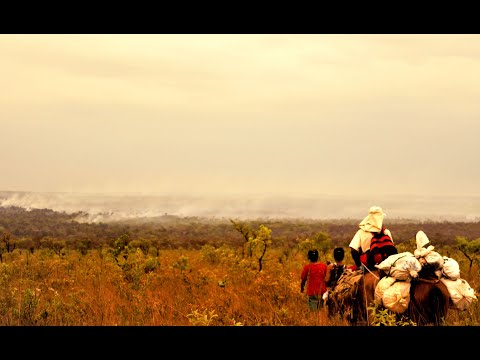 Habitar Queimadas