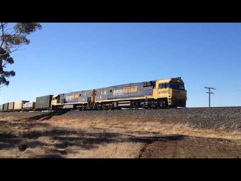 PacNat 1PM5 Pimpinio