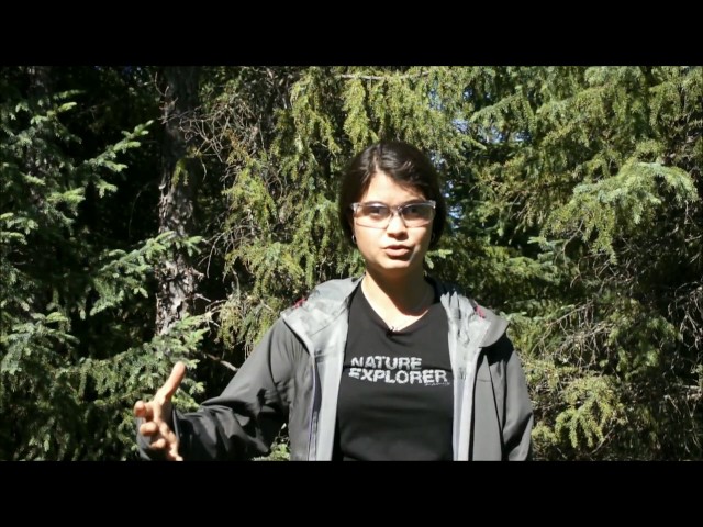 Cheminement des cours à la MGDEF – par Caroline