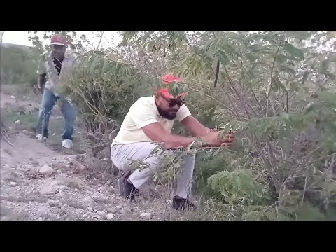 LIFÈ MARIM KITEM EPIZOD 53