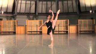 Amandine Ballet Class with Andrey Klemm DVD - AK005D
