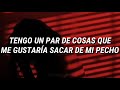 Falling In Reverse - Caught Like A Fly / Subtitulado