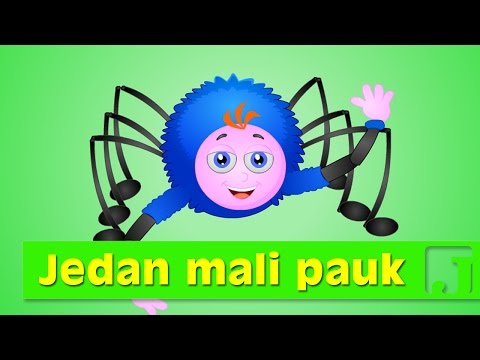 Jedan mali pauk | Dečije pesme | Jaccoled pesme za decu | Itsy Bitsy Spider
