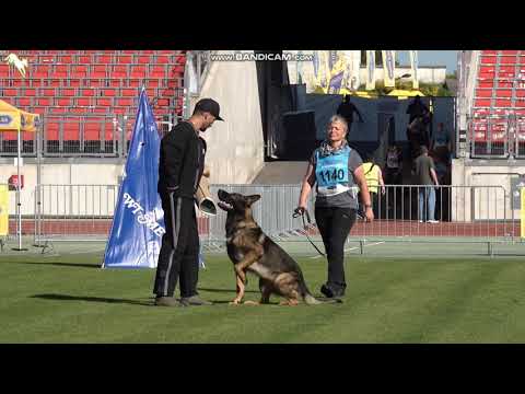 1140 Vince von der Teufelskehle - TSB BSZS-2023