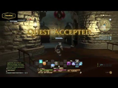 Final Fantasy XIV: A Realm Reborn What's in the Box Quest Lvl 5 Arcanist Class