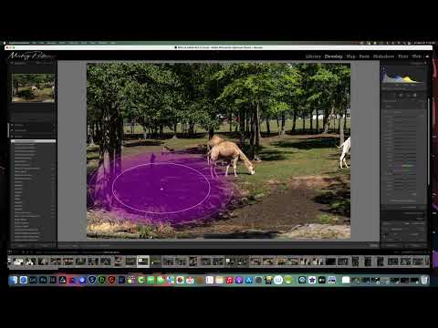 Lightroom Harsh Shadows FIx