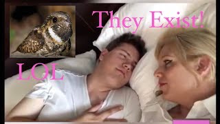 The Whip-Poor-Will Song