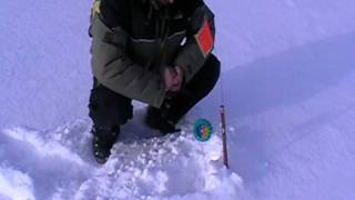 Пруды в ижевске и за ним для рыбалки