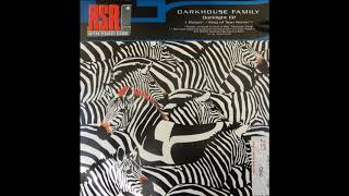 Darkhouse Family - Robot (King Of Spin Remix) [2001]