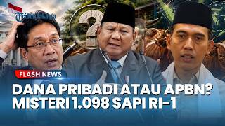Rangkuman Sapi Prabowo: Dana Pribadi atau APBN? Teka-Teki Rp100 Miliar untuk 1.098 Sapi Kurban!