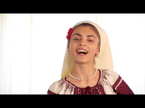 Mirabela Paveloiu - Dragi mi-s noptile de vara