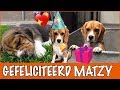 Cadeautjes shoppen voor Matzy | DierenpraatTV