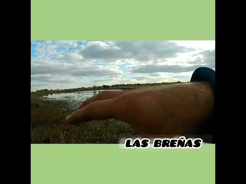 Parajes rurales del chaco, las breñas Zona de pesca 