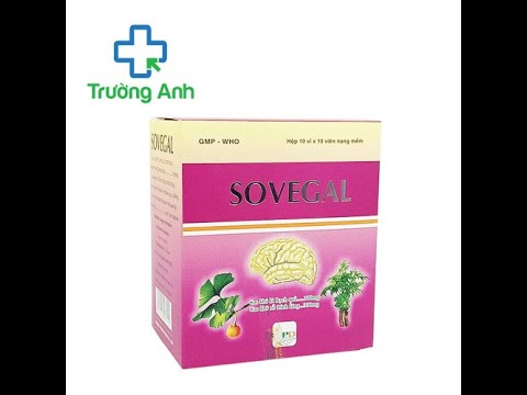 Sovegal - Hỗ trjw điều trị suy giảm trí nhớ