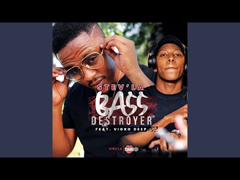 Bass Destroyer (feat. Vigro Deep)