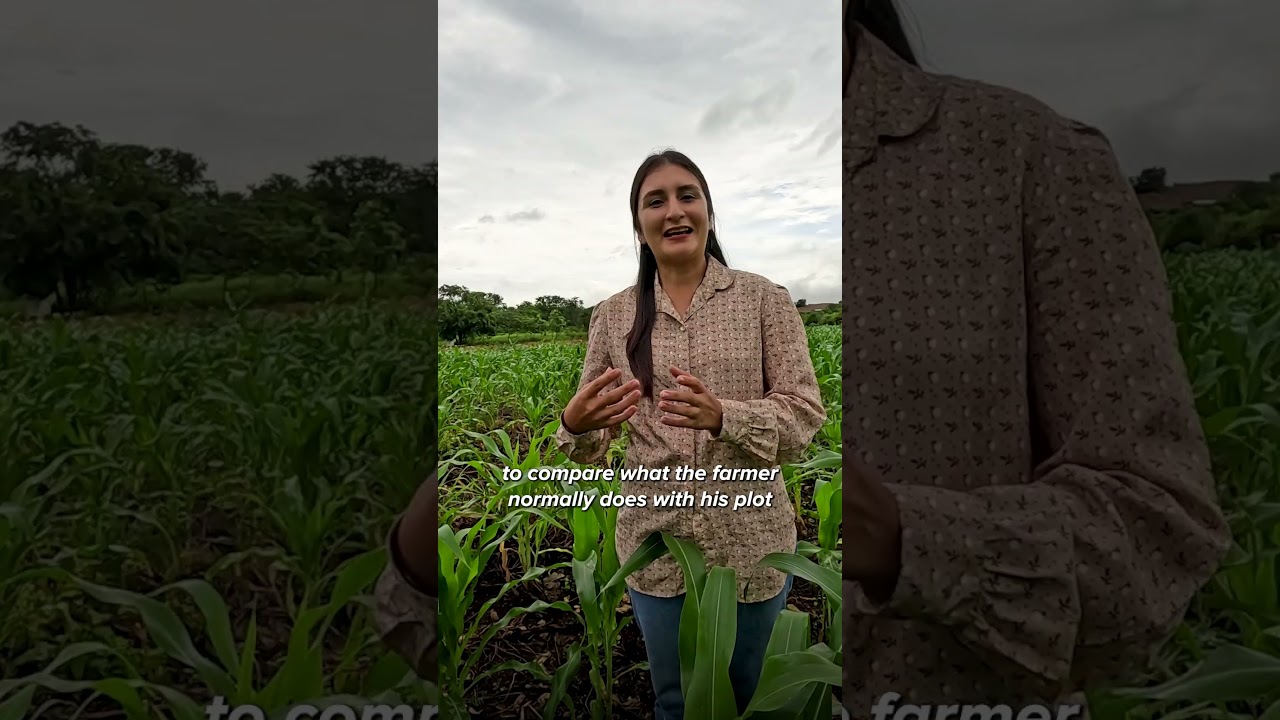 Así promovemos técnicas e innovaciones para productores de Quintana Roo!