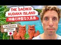 Visiting Sacred Kudaka Island In Okinawa Japan Happy New Year Story 11
